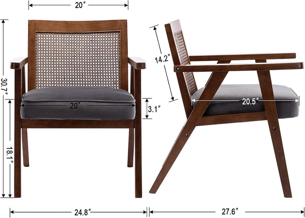 Mid Century Modern Rattan Chair